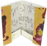 Congo Cover Design, painted by Congo