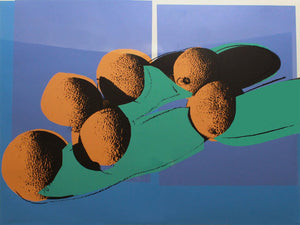 ABOUT EDWARD KURSTAK Andy Warhol Cantaloupes I  F&S II.201 from Space Fruits Still Life F&S II.201