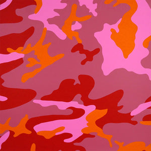 ABOUT EDWARD KURSTAK Camouflage FSII 408 Portfolio by Andy Warhol