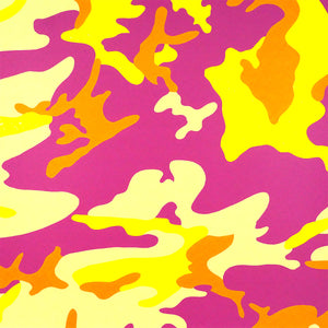 ABOUT EDWARD KURSTAK Camouflage FSII 409 Portfolio by Andy Warhol
