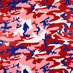 ABOUT EDWARD KURSTAK Camouflage FSII 412 Portfolio by Andy Warhol