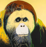 Endangered Species Portfolio  ORANGUTAN, 1983 by ANDY Warhol (Customer A..)