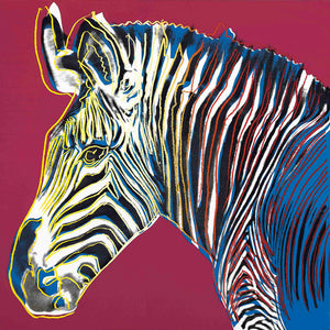 ABOUT EDWARD KURSTAK Endangered Species Portfolio  GREVY's ZEBRA, FSIIB 300 (TRAIL PROOF), 1983 by ANDY Warhol