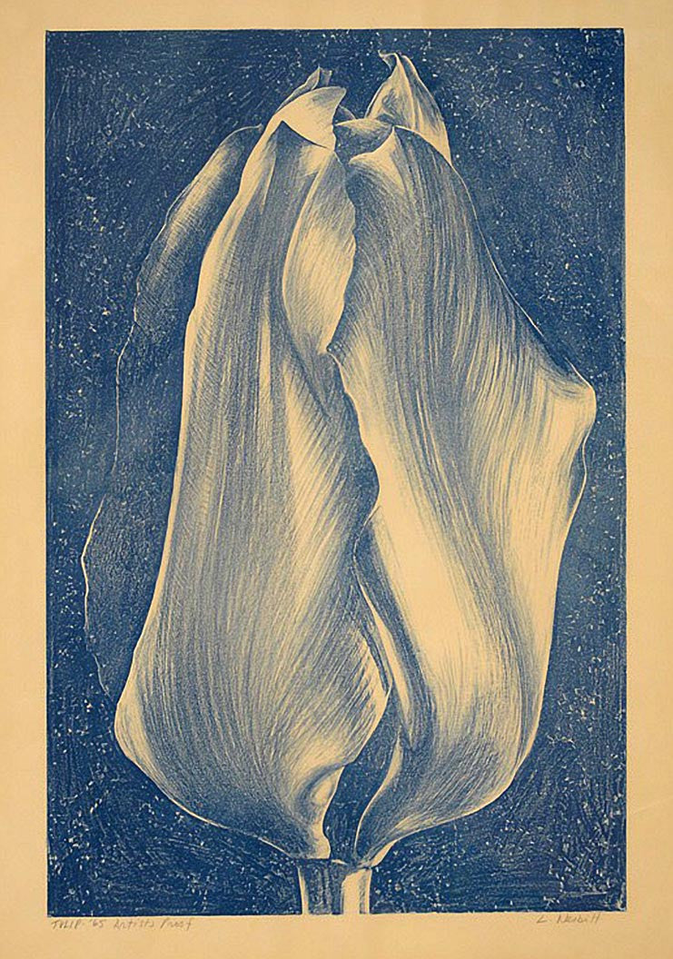 ABOUT EDWARD KURSTAK Tulip, 1965 by Lowell Nesbitt