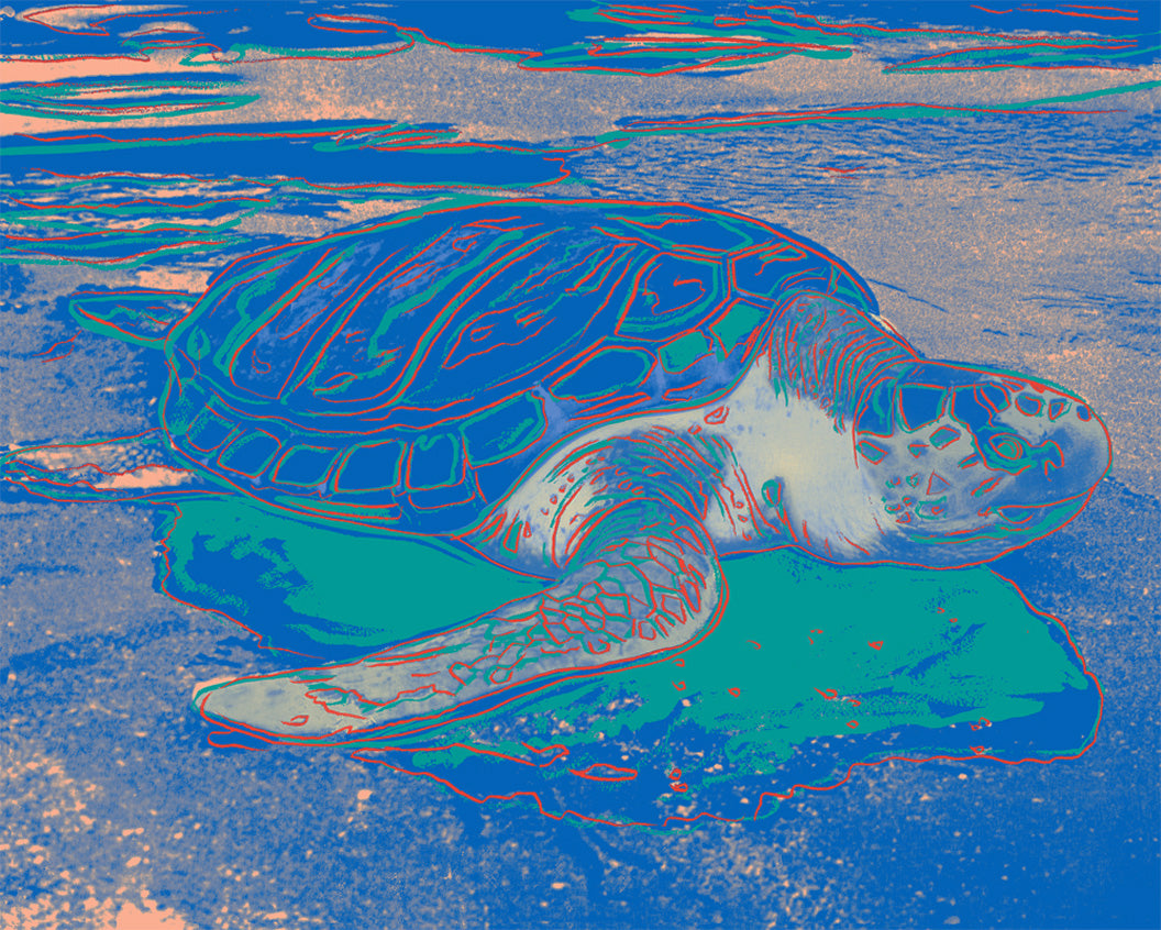 ABOUT EDWARD KURSTAK Turtle 1985 by Andy Warhol